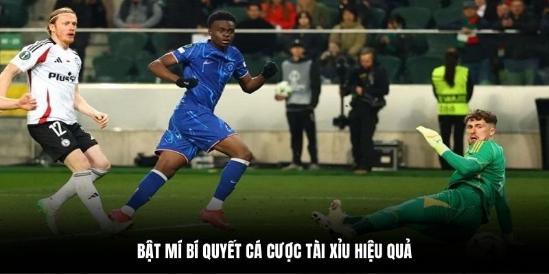 Bật mí bí quyết cá cược tài xỉu hiệu quả