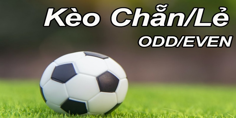 Giải thích về cược chẵn lẻ cho người mới