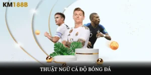 thuật ngữ cá độ bóng đá
