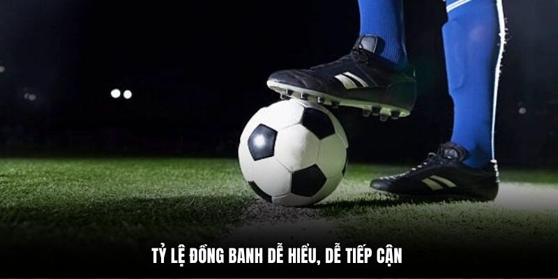 Tỷ lệ đồng banh dễ hiểu, dễ tiếp cận 